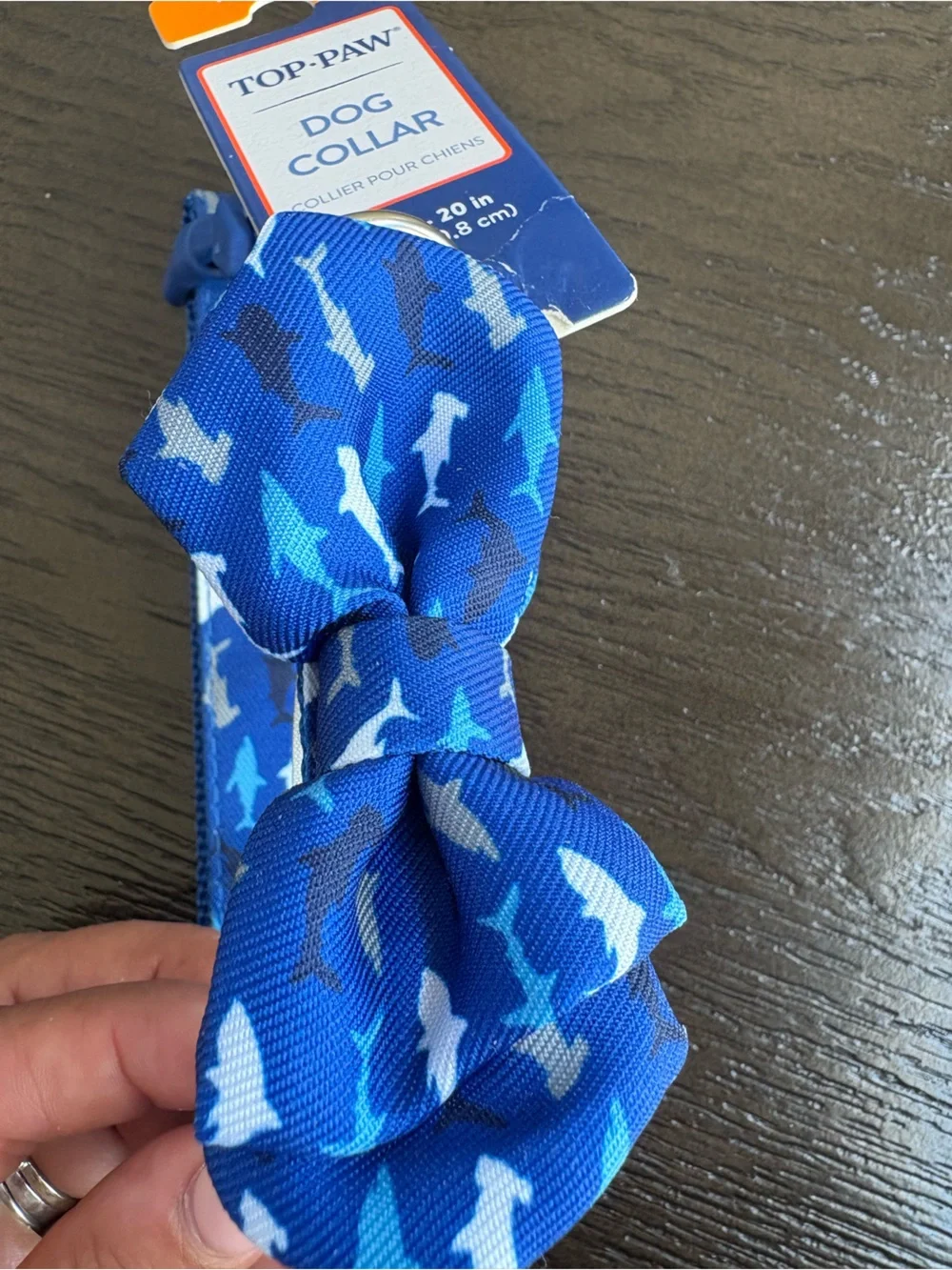 Top Paw playful shark